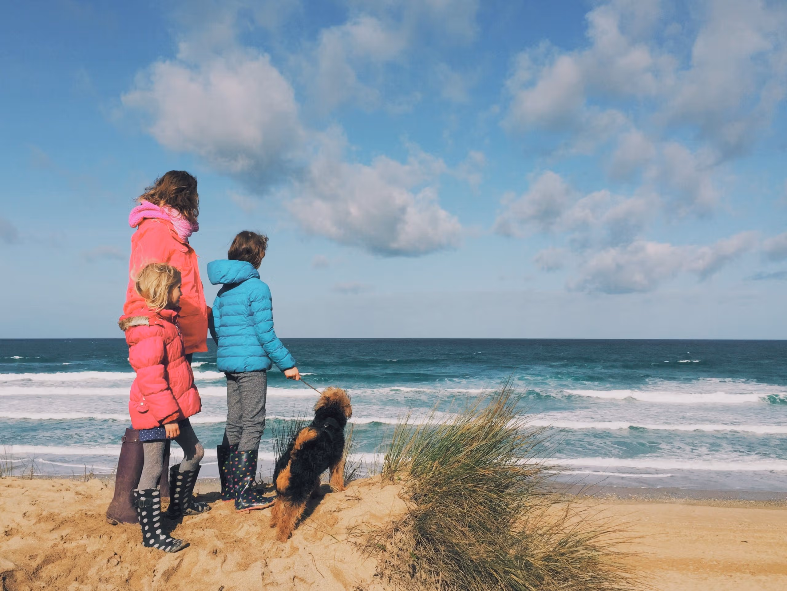 Dog-friendly eats within walkies distance