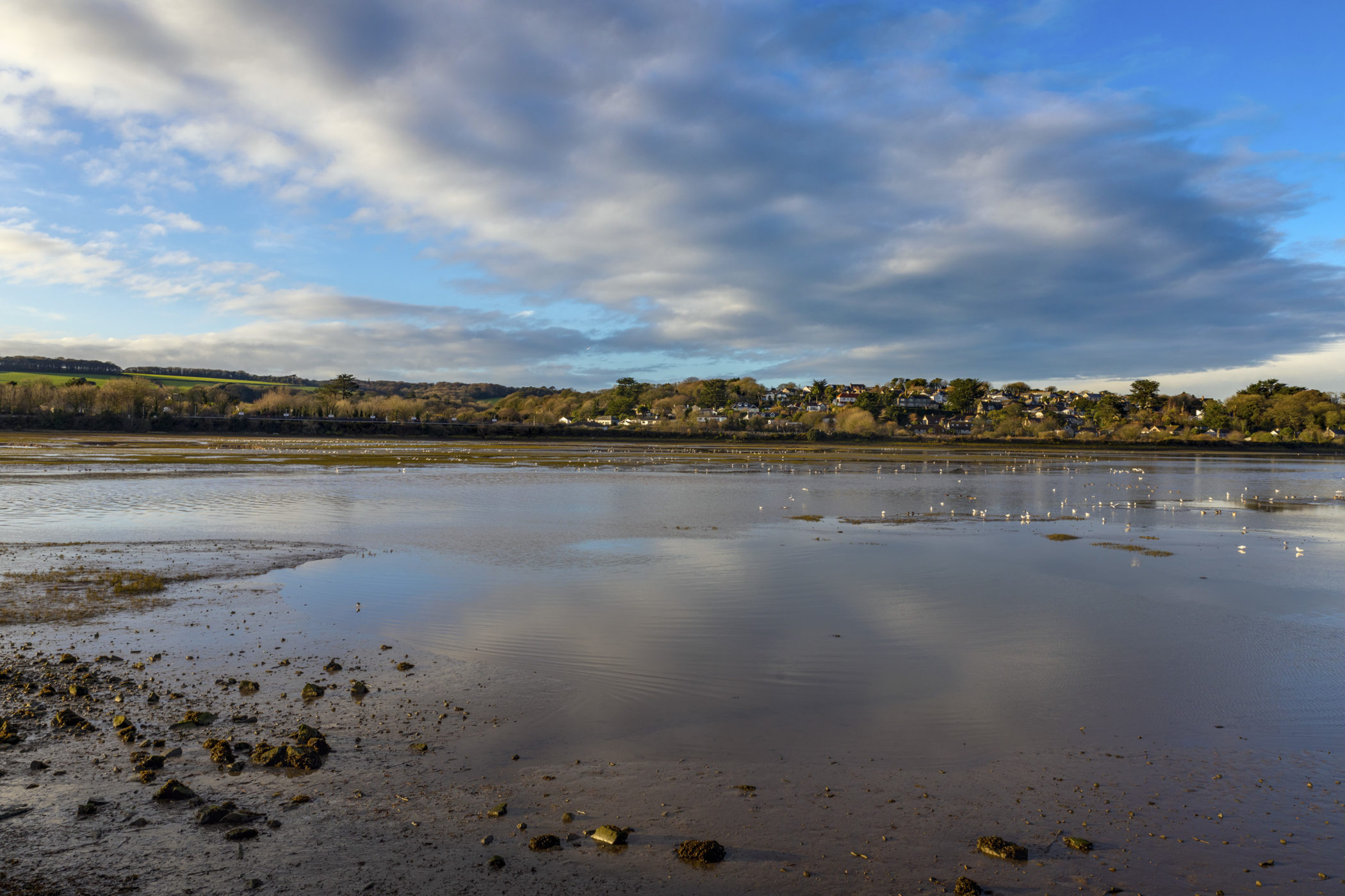 The Hayle Estuary, seen from The Causeway, is an RSPB reserve. Credit: David Chapman
