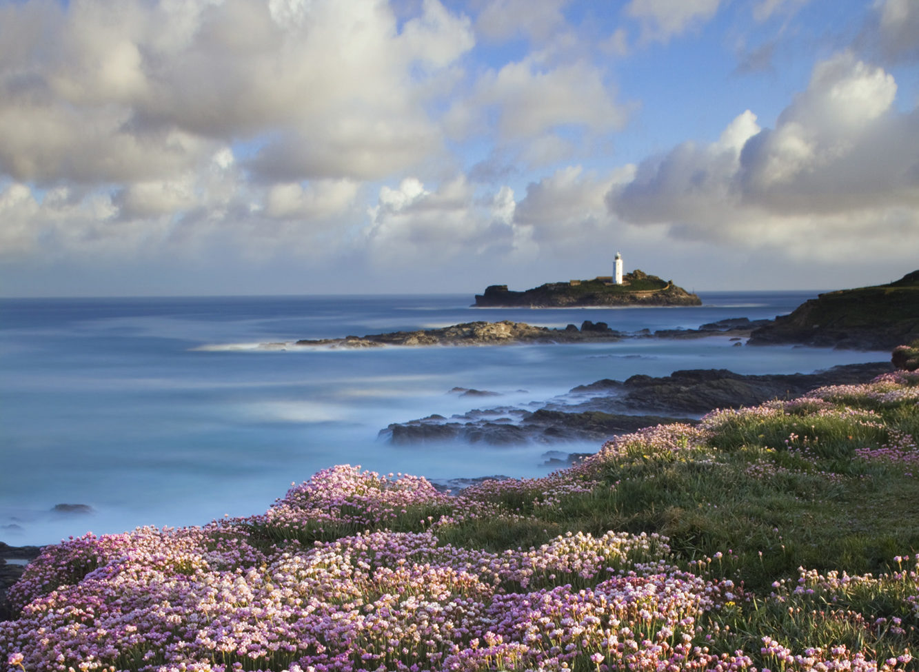 On the rockier ground of Godrevy Point a mass of thrift comes into flower during May. Credit: David Chapman